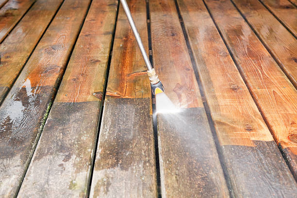 Best Vinyl Siding Pressure Washing in Orange Beach, AL